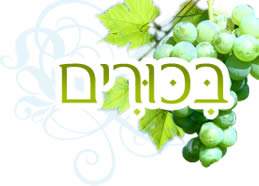 קובץ:Logo bikurim site.png