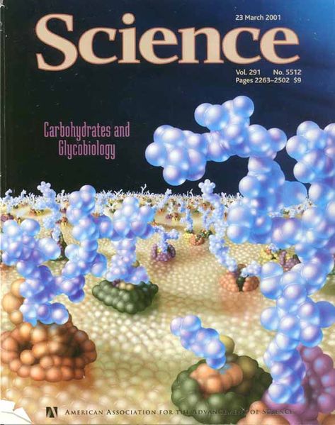 קובץ:ScienceMagCover23June2001 72.jpg