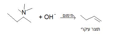 קובץ:כלל הופמן.jpg