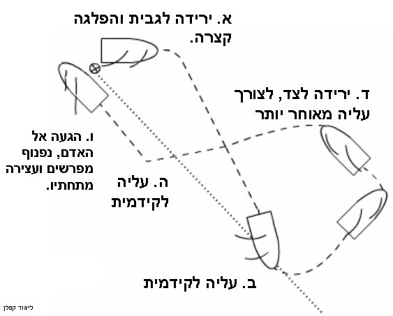 קובץ:Shminit adam bayam.jpg