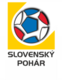 Slovak cup.png