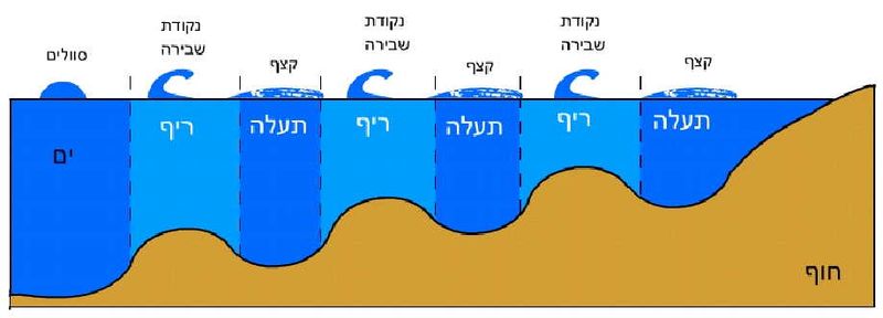 קובץ:Rif tehala.jpg