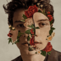 תמונה ממוזערת עבור Shawn Mendes