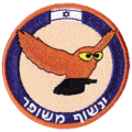 תמונה ממוזערת לגרסה מ־13:15, 3 במאי 2011