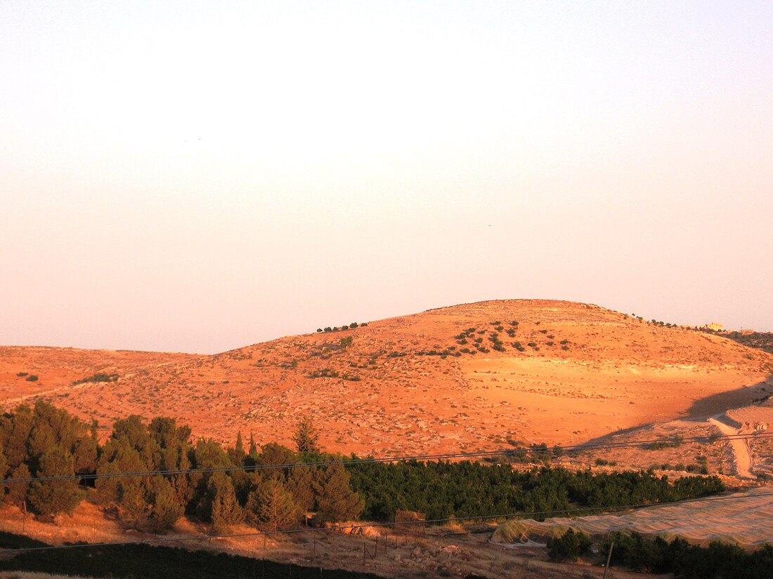 מעון (יישוב עתיק)