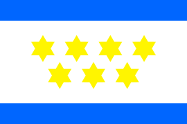 דגל שבעת הכוכבים של צים