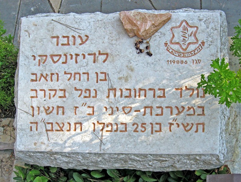 קובץ:Oved22.jpg