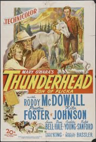 קובץ:Thunderhead, Son of Flicka.jpg