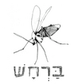 תמונה ממוזערת לגרסה מ־13:14, 28 באוגוסט 2023