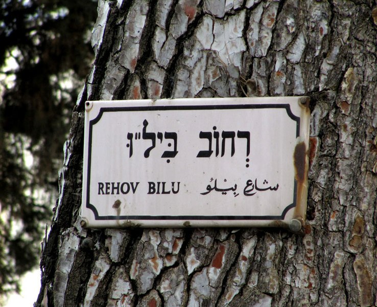 קובץ:Bilu22.jpg