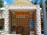 לערך כרמלית - 30/6/2007