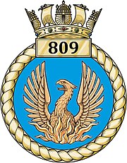 809 Naval Air Squadron.jpg