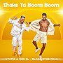 תמונה ממוזערת עבור Shake Ya Boom Boom