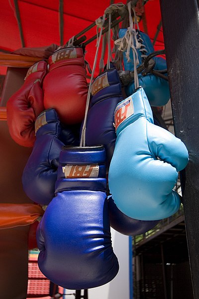 קובץ:Boxing-gloves1.jpg