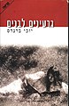 תמונה ממוזערת לגרסה מ־23:46, 27 באוקטובר 2010