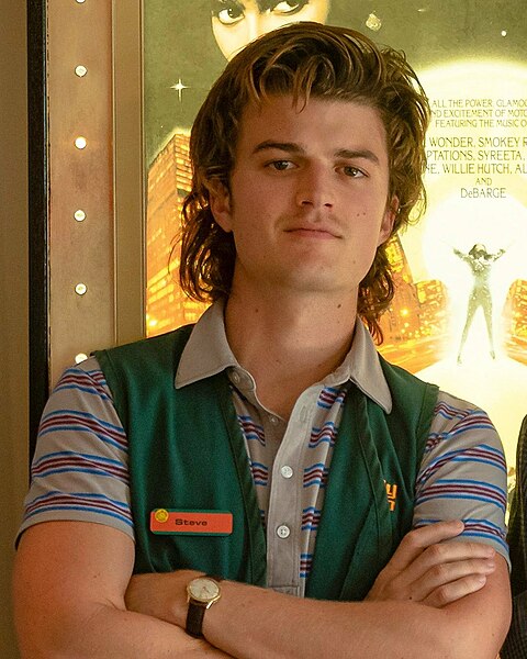 קובץ:Steve Harrington - Stranger Things.jpg