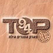 לוגו טופ 94.jpg