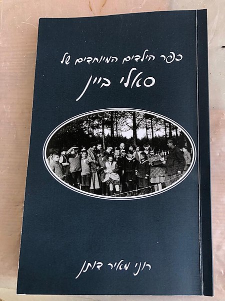 קובץ:עטיפת הספר 'סאלי ביין' מאת רוני דותן.jpg