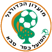 סמל הקבוצה משנת 1995 עד 2014