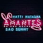 תמונה ממוזערת עבור Amantes de una Noche