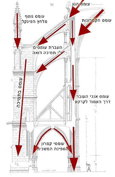 קובץ:סכימת כוחות בתמיכה דואה.jpg