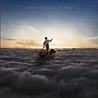 תמונה ממוזערת עבור The Endless River