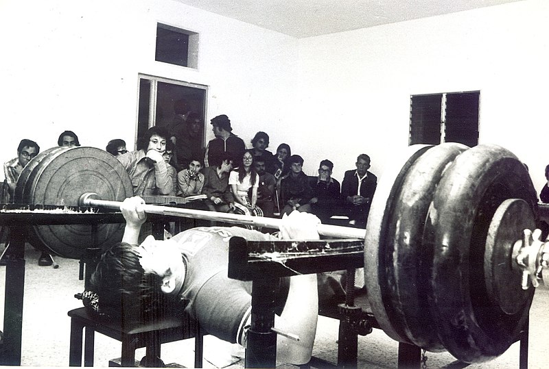 קובץ:Haimovitz Paralympic Weightlifting.jpg