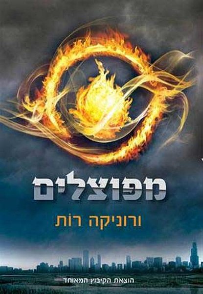 קובץ:עטיפת הספר "מפוצלים".jpg