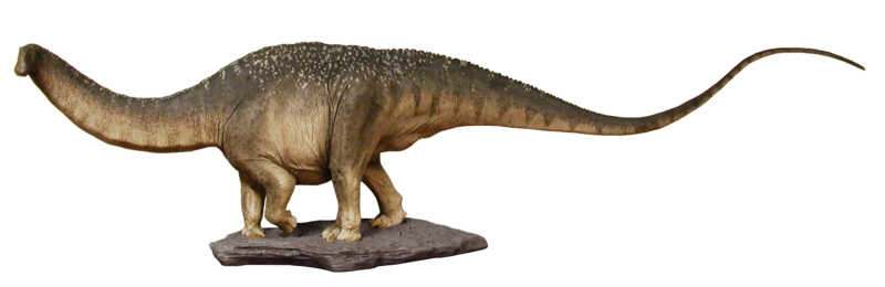 קובץ:Apatosaurus-maquette-whole-lateral-cropped-angle-2.png