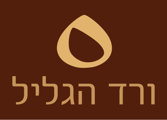 קובץ:VeredHaGalilModern.svg