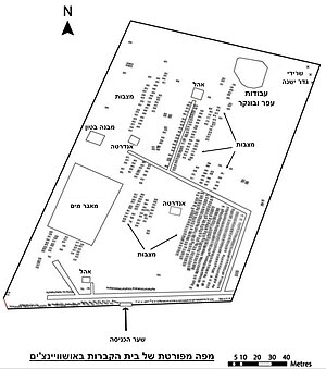 Jewish Cemetery Oświęcim - MAP-Heb-1.jpg