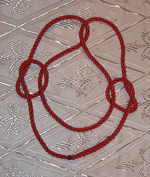 קובץ:Kinoshita-Terasaki knot.jpg