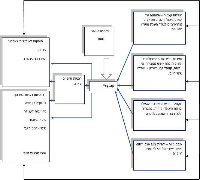 קובץ:Psycap.jpg