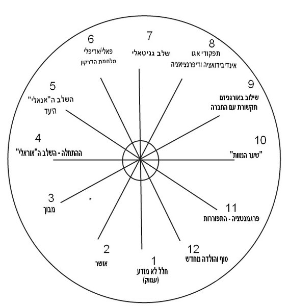 קובץ:Kellogg-Mari-Test.jpg