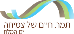 Tamar Regional Council New Logo.svg