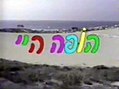 תמונה ממוזערת לגרסה מ־19:57, 8 בנובמבר 2007