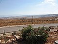 מטע הזיתים, כפר אלדד ומדבר יהודה