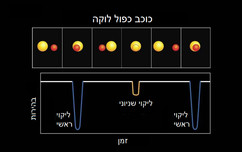 קובץ:משתנה לוקה.png