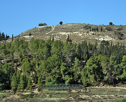 איך מגיעים באמצעות תחבורה ציבורית  לפארק בריטניה? - מידע על המקום