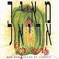 תמונה ממוזערת לגרסה מ־18:01, 31 במרץ 2006