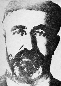 Datoteka:Grgur Vujović.jpg