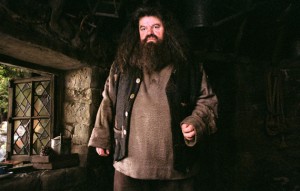 Datoteka:Rubeus Hagrid HP3.jpg