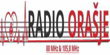 Datoteka:Radio Orašje logo.jpg