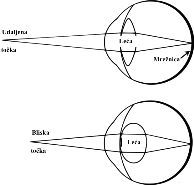 Datoteka:Akomodacija 1.png