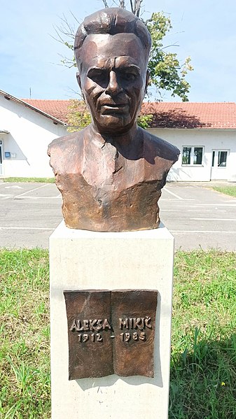 Datoteka:Aleksa Mikić2.jpg