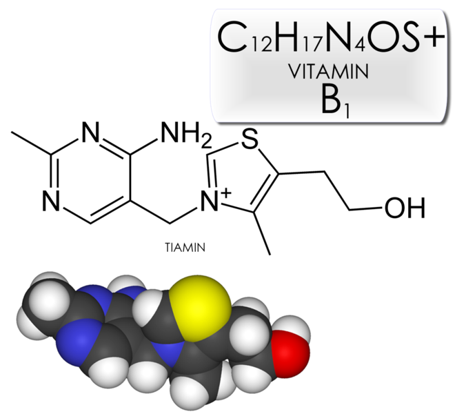 Datoteka:Tiamin - vitamin B1.png