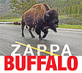 Thumbnail for Buffalo (Frank Zappa)