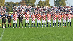 Nk Bjelovar: Povijest, Trofeji, Nastupi u završnicama kupa