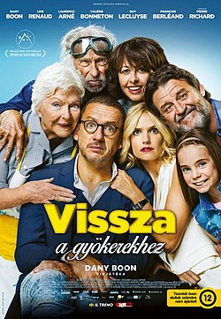 A film magyarországi moziplakátja