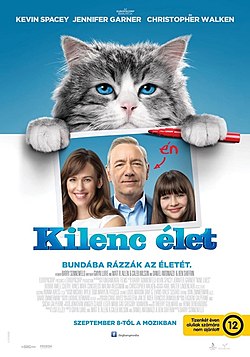 A film hazai plakátja